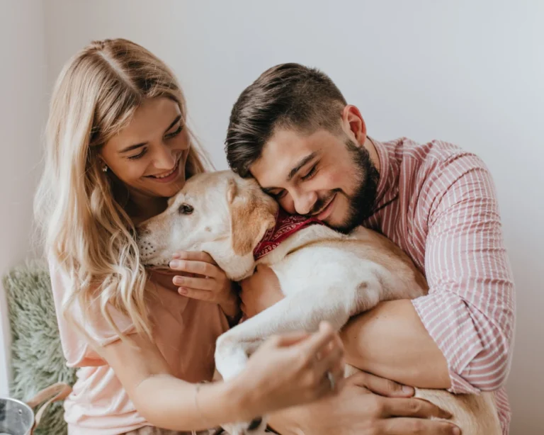 pet food dispenser automatic
